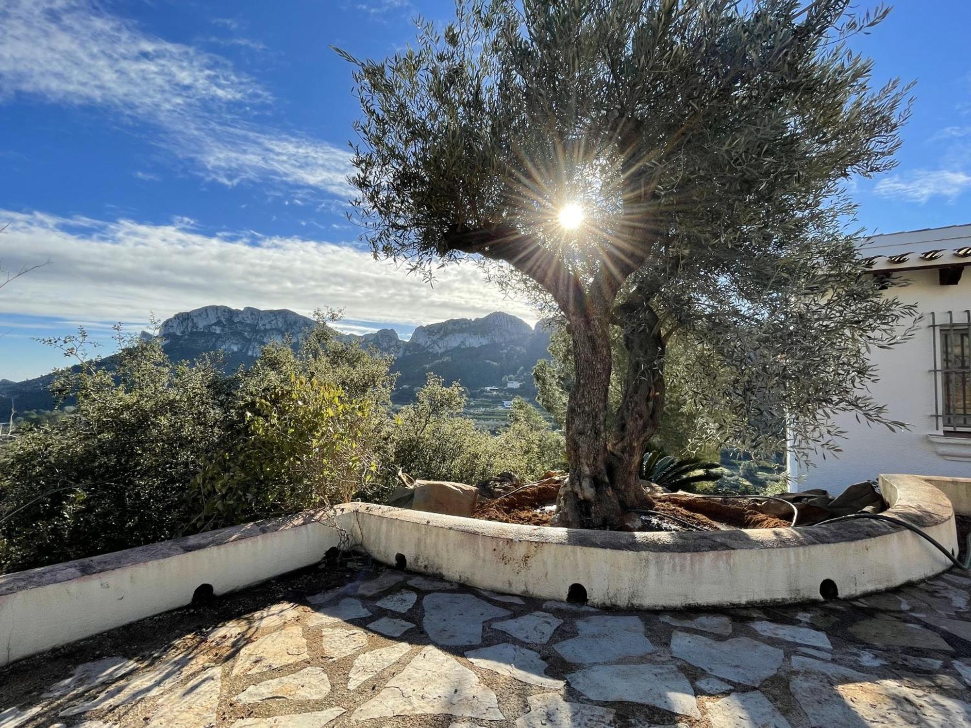 Villa Casa Dali Monte Pego Exteriér fotografie